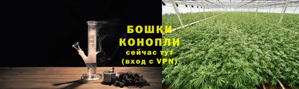 ГАЛЛЮЦИНОГЕННЫЕ ГРИБЫ Нефтекумск