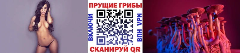 Псилоцибиновые грибы прущие грибы  Сурск 